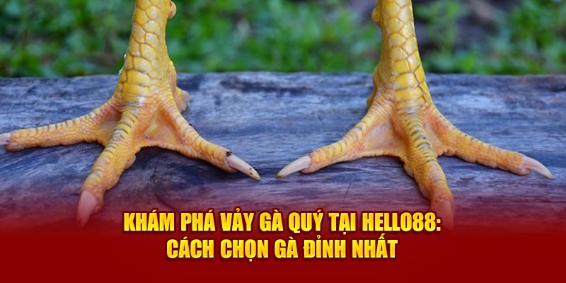 kham-pha-vay-ga-quy-tai-hello88-cach-chon-ga-dinh-nhat